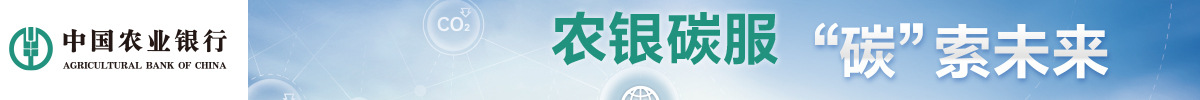 农银碳服